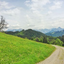 Abfahrt von der Alpe Osterberg in Richtung Tiefenbach