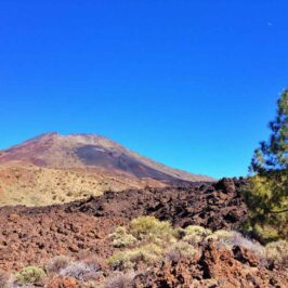 Aufstieg mit Blick Richtung Teide