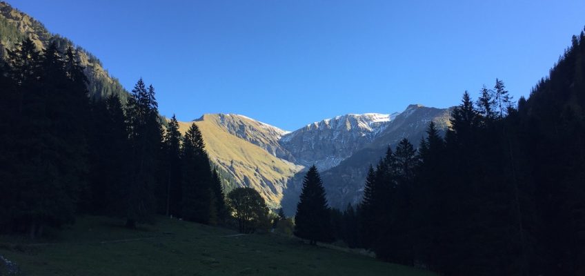 Blick von der Gerstruber Alpe zum Rauheck und Kreuzeck