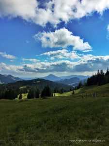 Blick von der Alpe Höllritze in Richtung Grünten