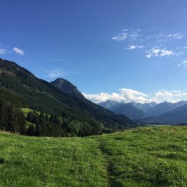 Auf dem Wiesenweg nach Süden