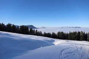 Auf dem Fahrweg zur Grüntenhütte
