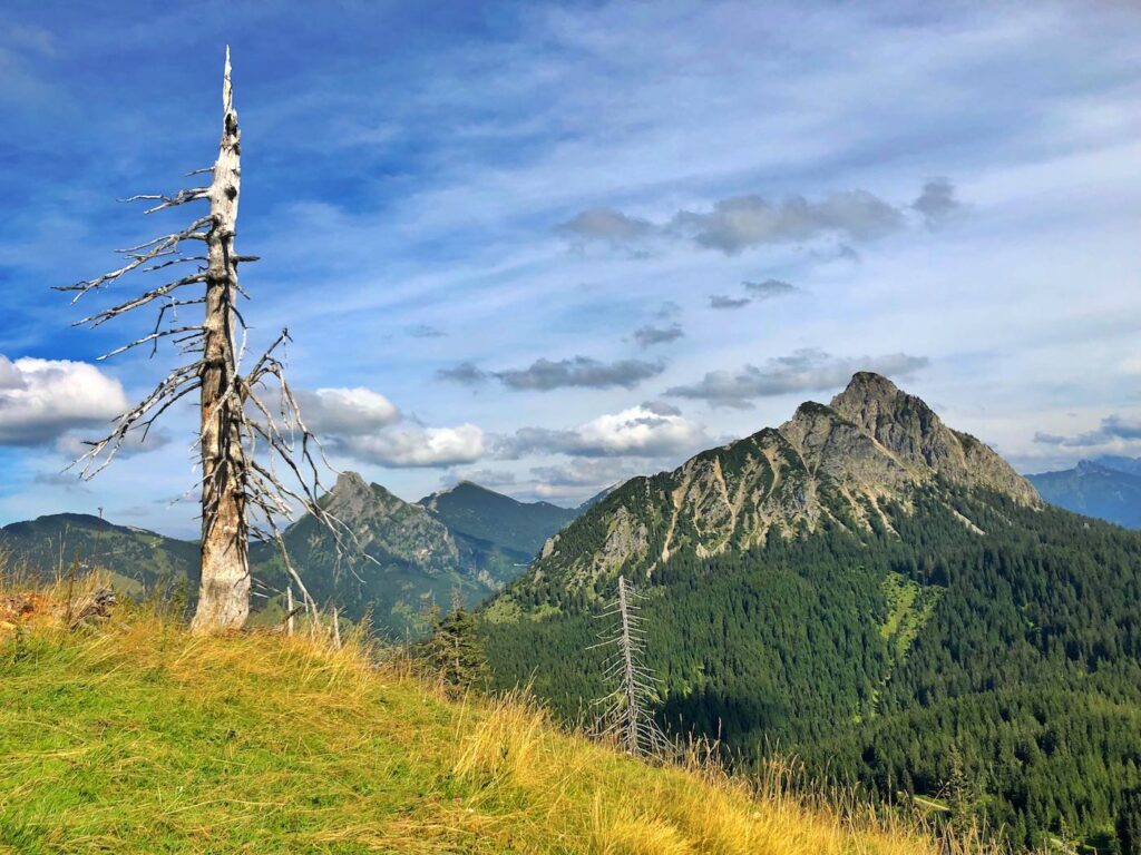 Am Pirschling - Blick zu Einstein und Aggenstein