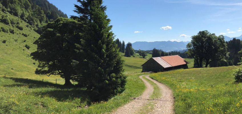 Alpweg in Richtung Wiesach