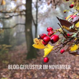 Der Monatsrückblick November 2018 auf die Outdoor-Blogger