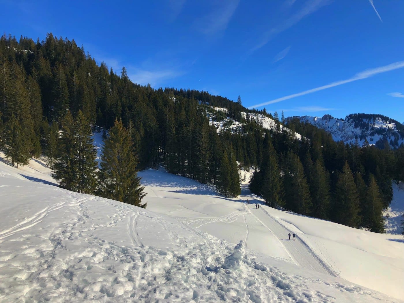 Blick von der Oberen Mittel-Alpe auf den Winterwanderweg