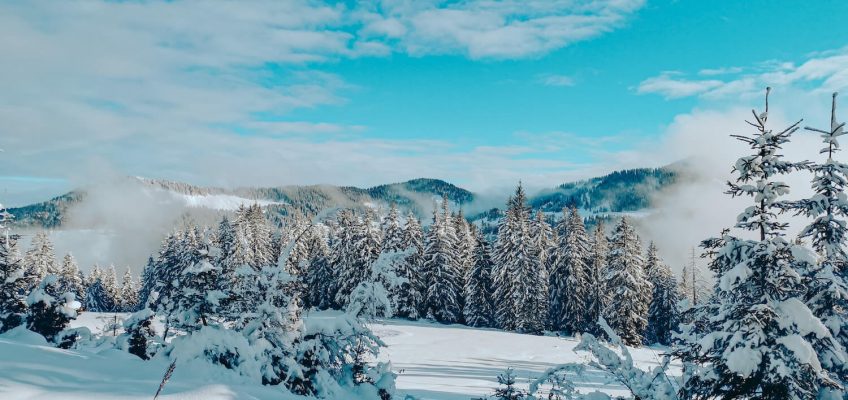 Winterlandschaft