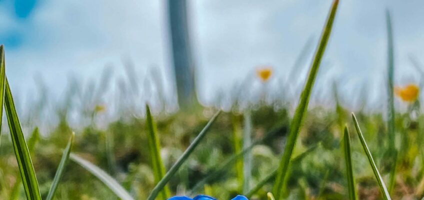 Das Gipfelkreuz des Kreuzbichel