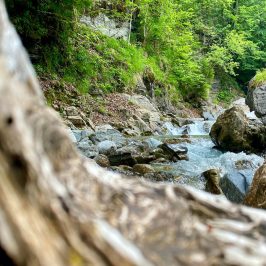 Am Ausstieg aus der Klamm