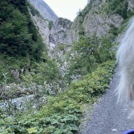 Auf dem Weg Richtung Simms Wasserfall