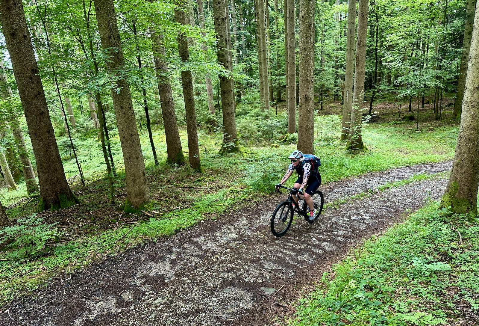 Gerade an heißen Tagen bieten die Abschnitte im Wald eine willkommene Abkühlung