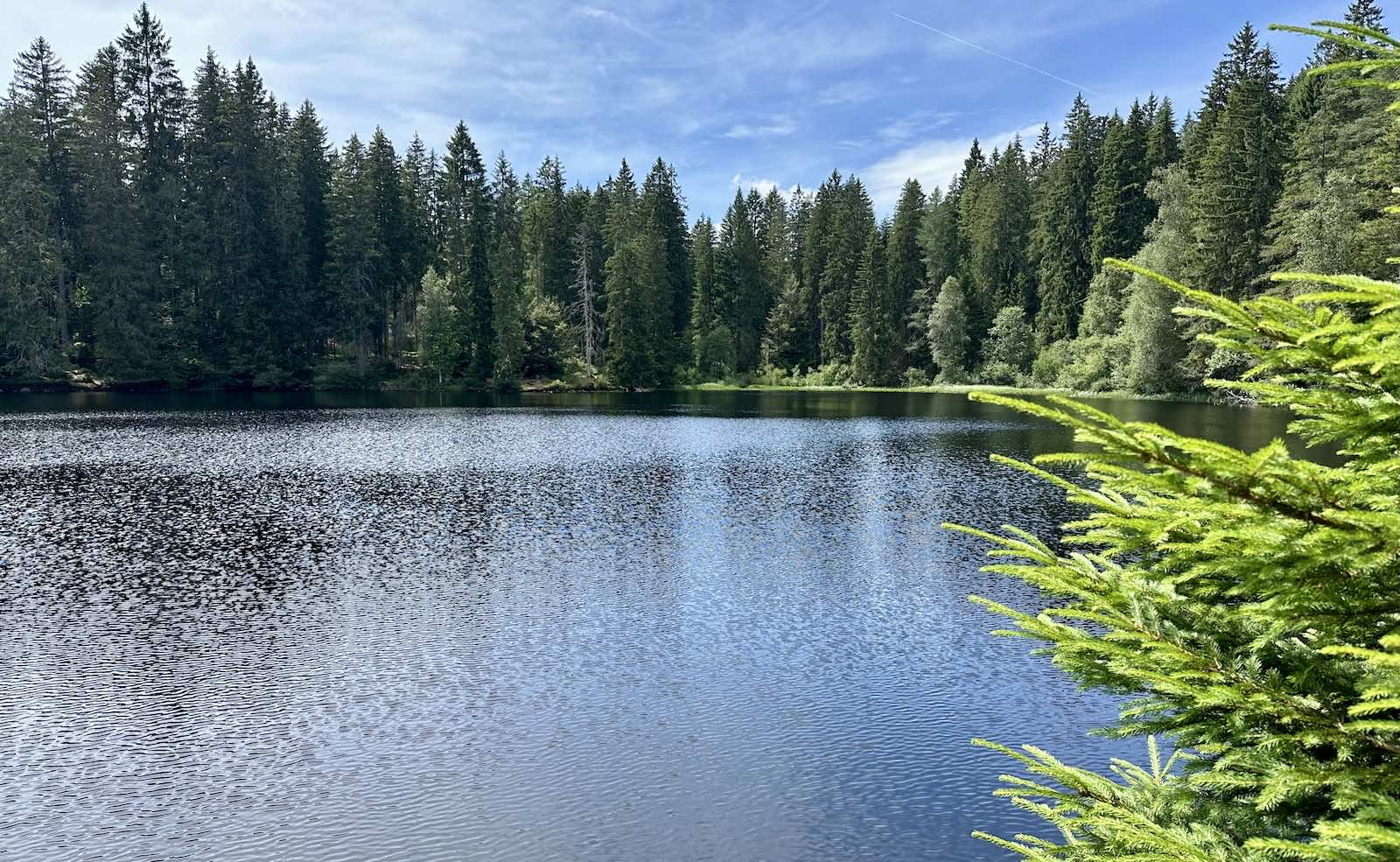 Am Mathisleweiher, am Ende der Tour, gibt es nochmal eine Bademöglichkeit