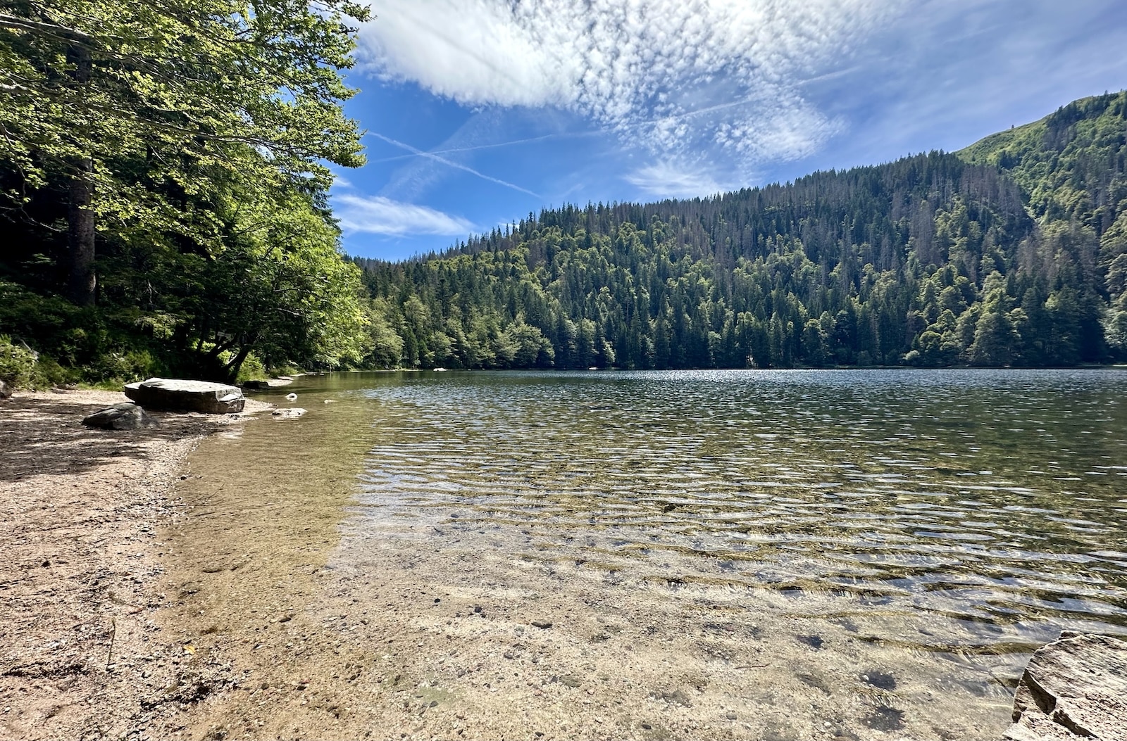 Am idyllischen Feldalpsee