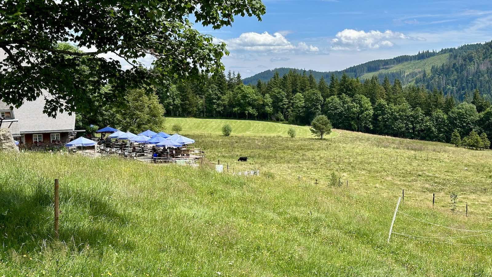 Der Raimartihof ist die letzte Einkehrmöglichkeit vor Hinterzarten