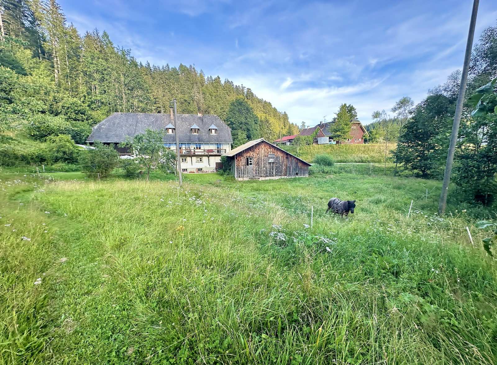 Mein Zeltplatz nach dem zweiten Radtag