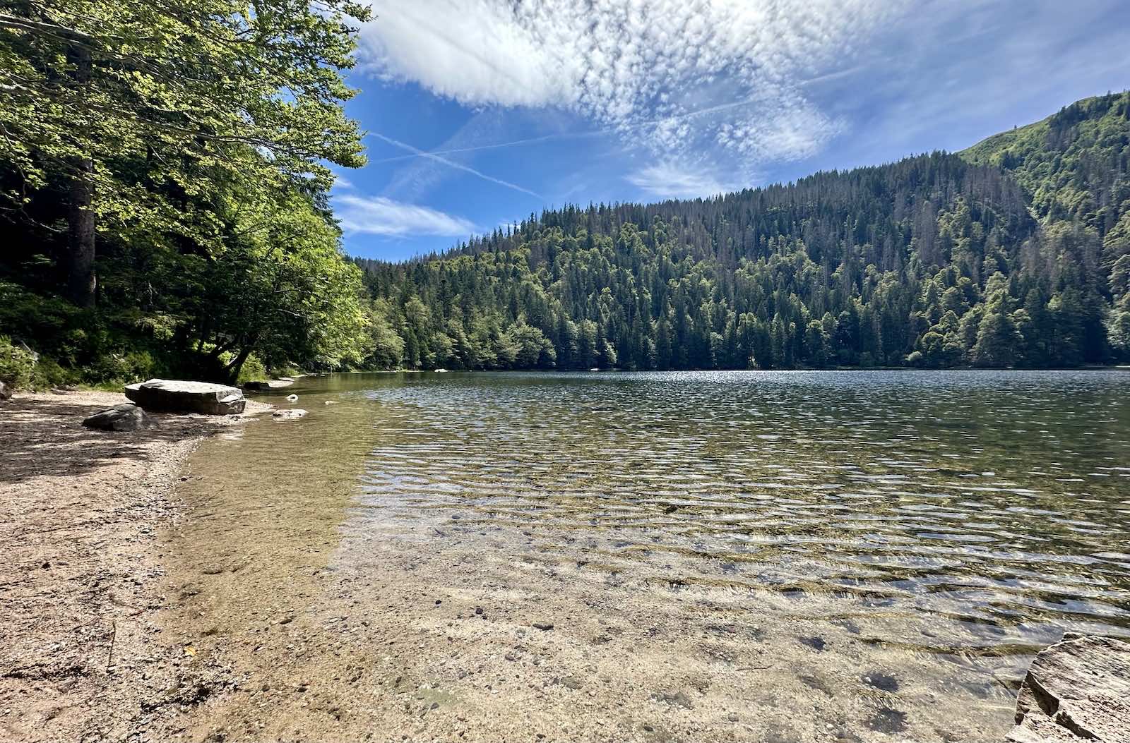 Naturparadies Feldsee