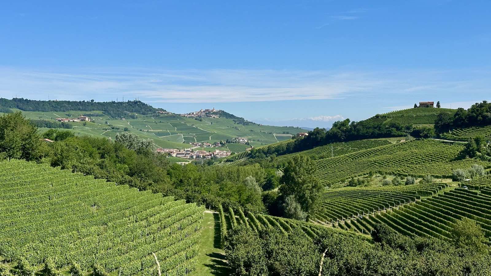 Hügel, Weinberge und der blaue italienische Himmel