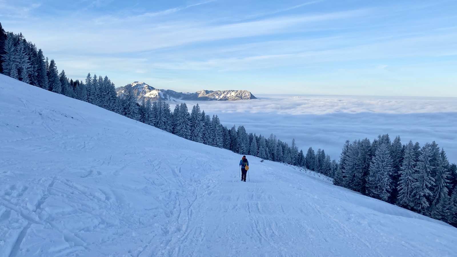 Auf dem Fahrweg unterhalb der Grüntenhütte